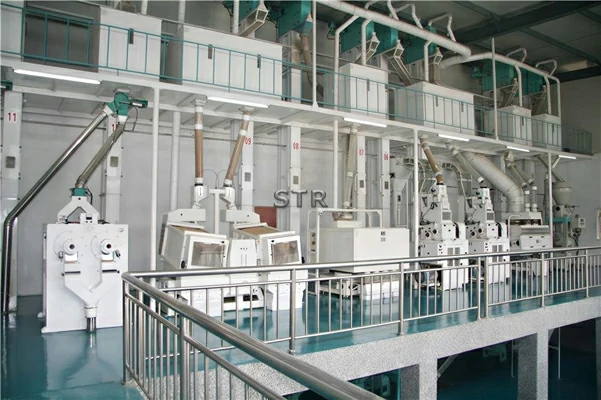 100吨/天大米加工成套设备